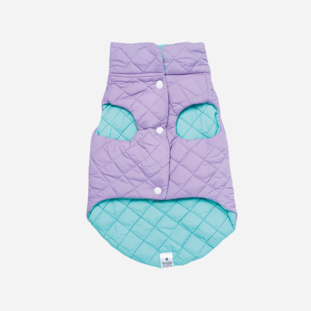 Chaleco Doble Faz para Perro, Aguamarina con Lila, Colección Horz, Marca Braco