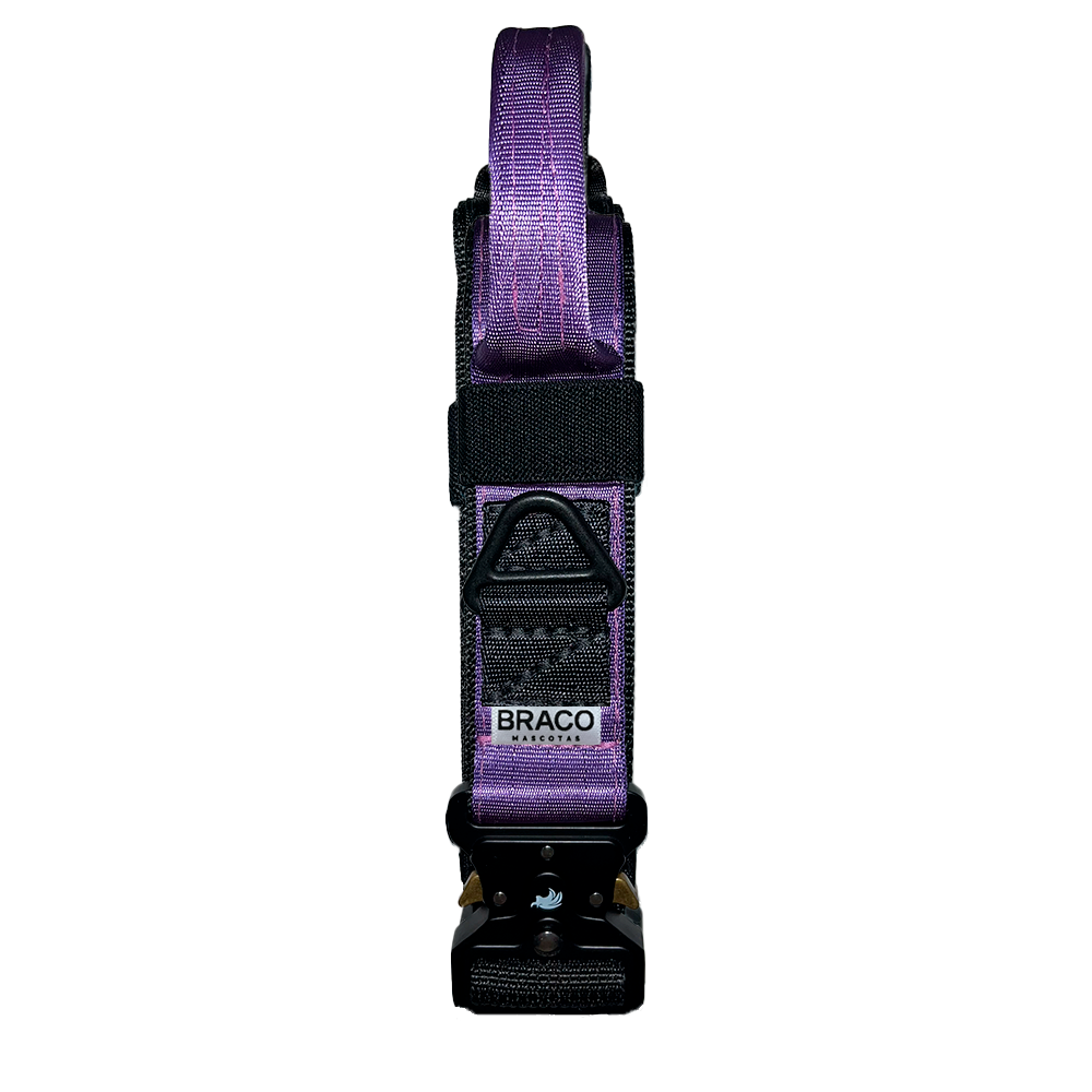 Collar Táctico de Identificación  para Perro Color Morado Marca Braco