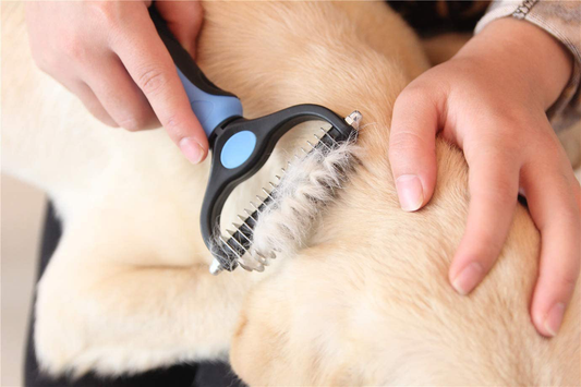 Desenredador de pelo (Perro)
