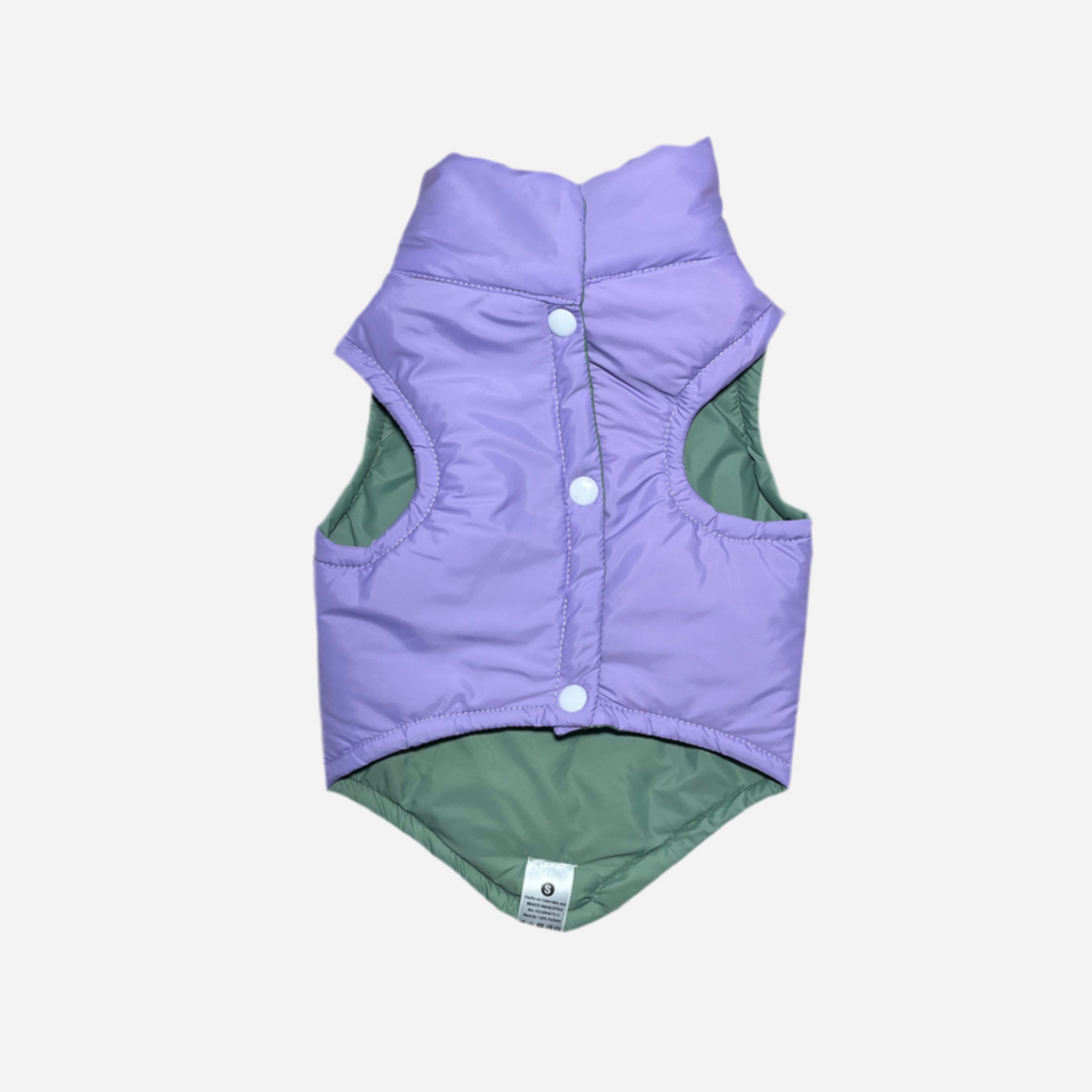 Chaleco para Perro Verde con Lila, Colección Braco Kids, Marca Braco