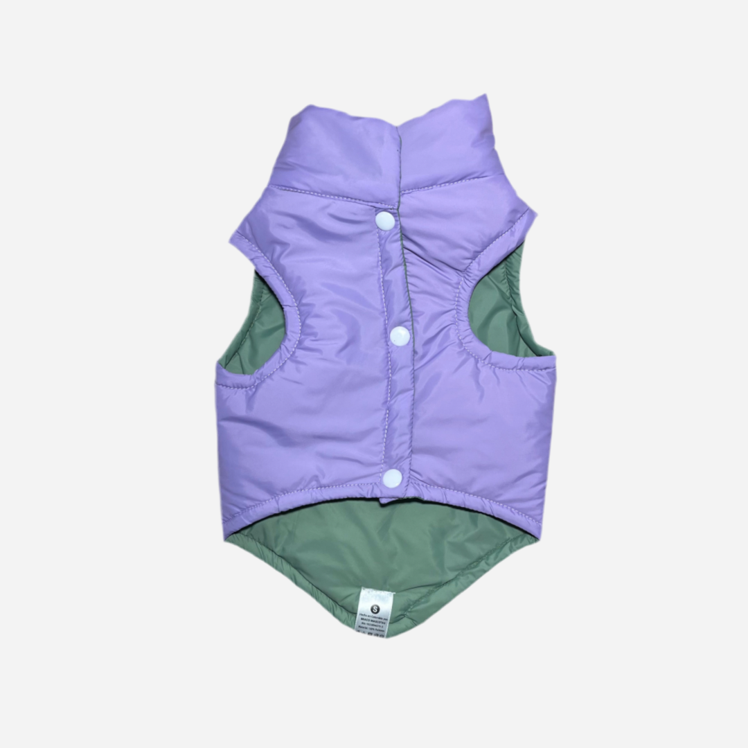 Chaleco para Perro Verde con Lila, Colección Braco Kids, Marca Braco