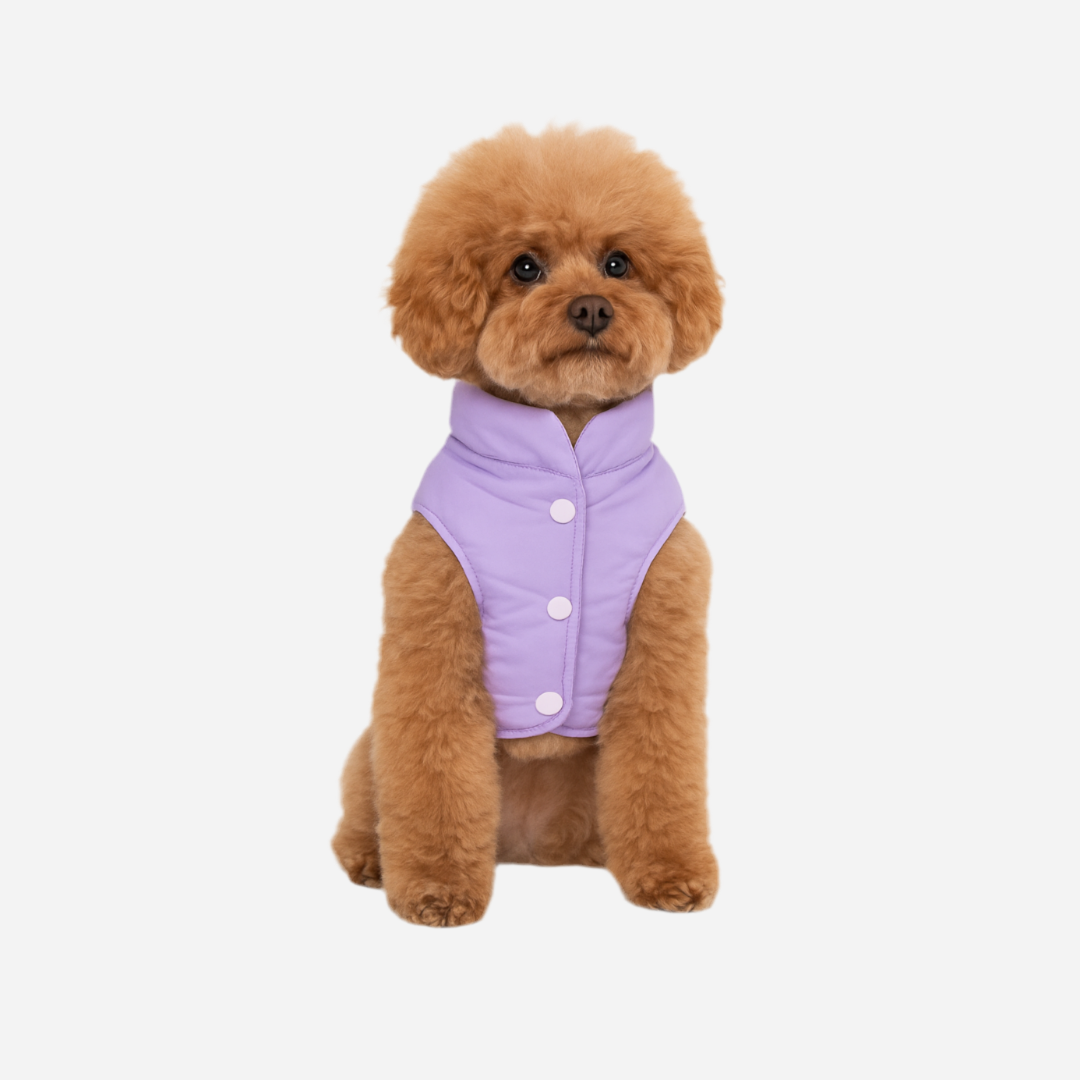 Chaleco para Perro Verde con Lila, Colección Braco Kids, Marca Braco