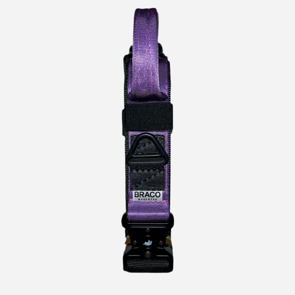 Collar Táctico de Identificación  para Perro Color Morado, C. Gladiador, Marca Braco