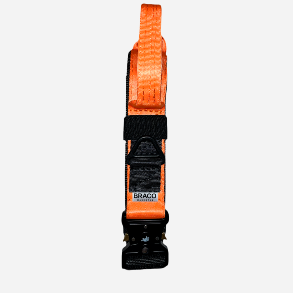 Collar Táctico de Identificación  para Perro Anaranjado, C. Gladiador, Marca Braco