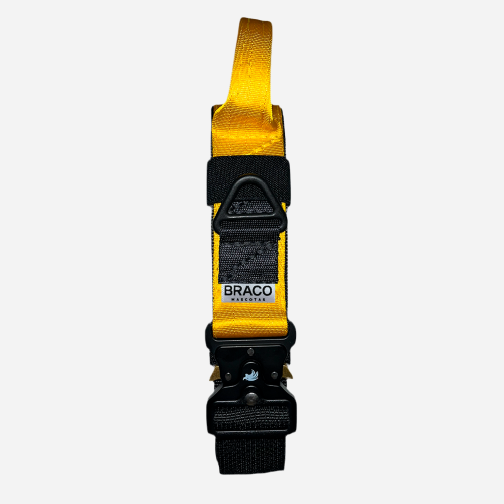 Collar Táctico de Identificación para Perro Amarillo, C. Gladiador, Marca Braco