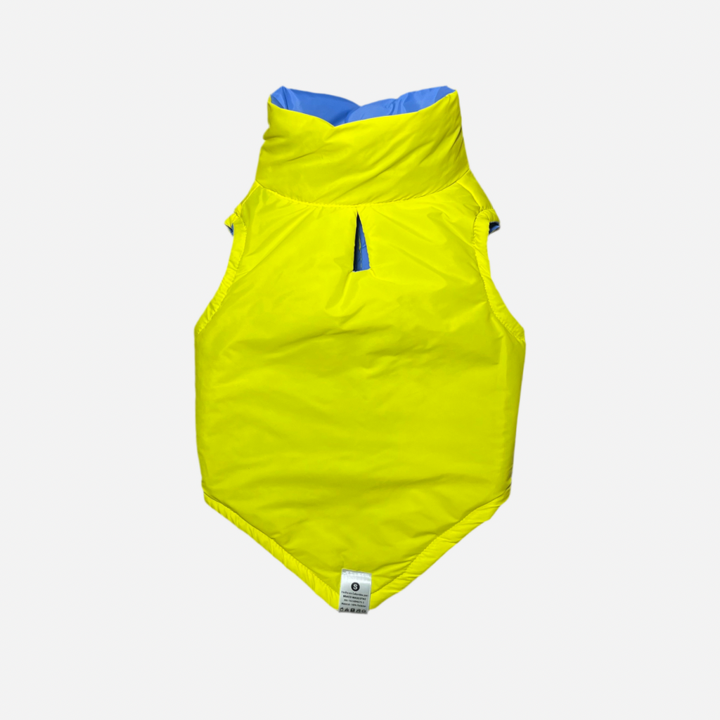 Chaleco para Perro Amarillo con Azul, Colección Braco Kids, Marca Braco