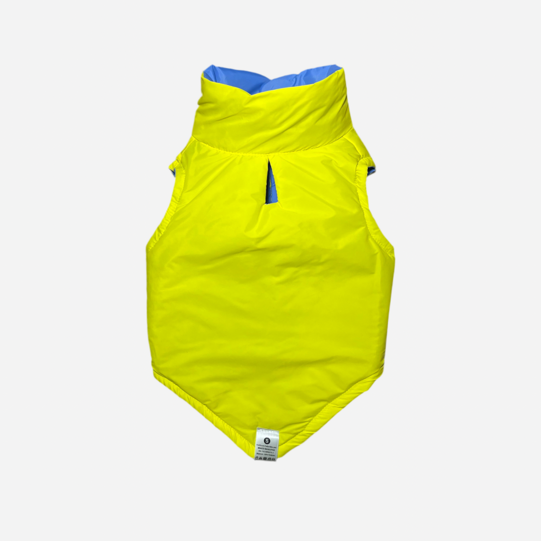 Chaleco para Perro Amarillo con Azul, Colección Braco Kids, Marca Braco
