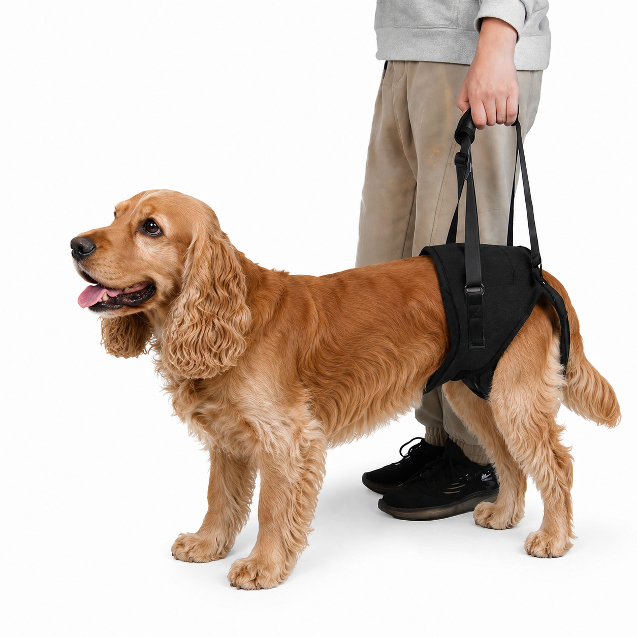 SOPORTE DE CADERA PARA PERRO (M)