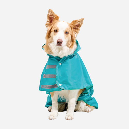 Capa impermeable para Perro, capa para la lluvia Perro Aguamarina Marca Braco