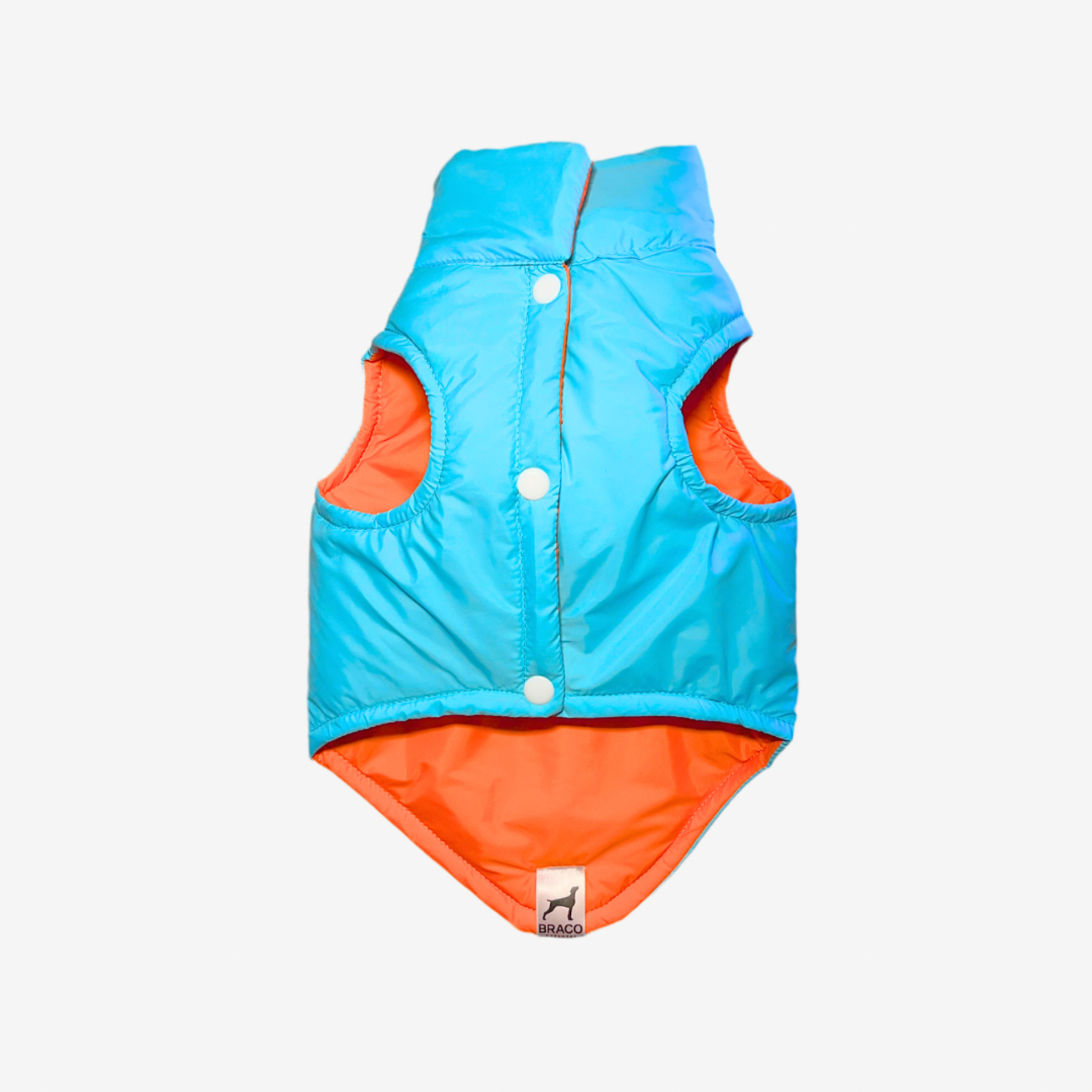 Chaleco para Perro Naranja con Azul, Colección Braco Kids, Marca Braco