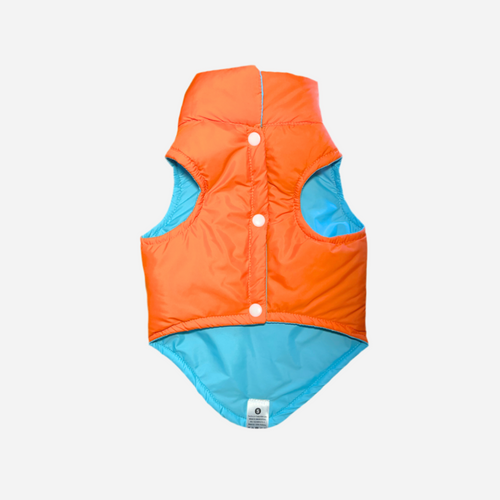 Chaleco para Perro Naranja con Azul, Colección Braco Kids, Marca Braco