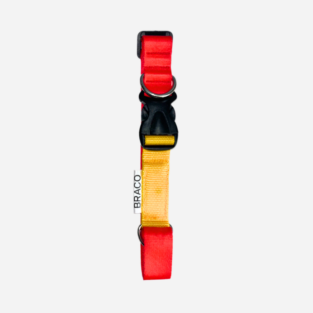 Collar Duofit para Perro (2 tallas en 1) Marca Braco