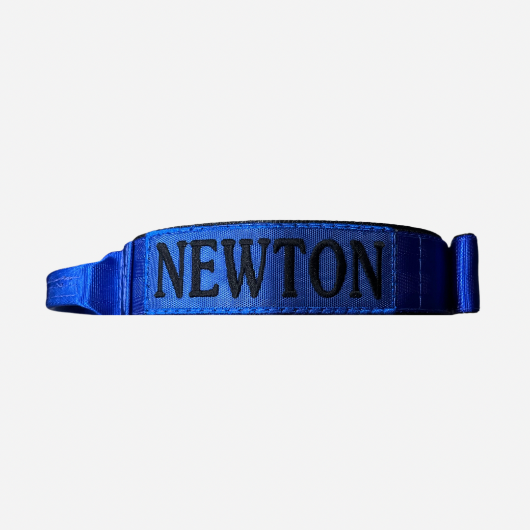 Collar Táctico de Identificación  para Perro Color Azul, C. Gladiador, Marca Braco
