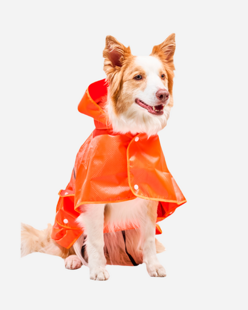 Capa impermeable para Perro Anaranjada, capa para la lluvia Perro Marca Braco
