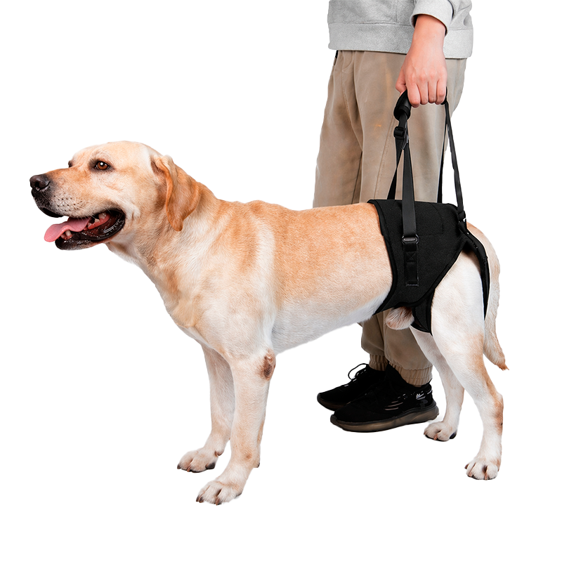SOPORTE DE CADERA PARA PERRO (L/XL)