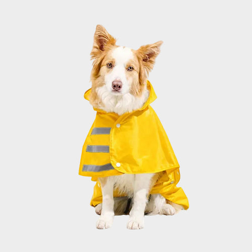 Capa impermeable para Perro Amarilla Marca Braco