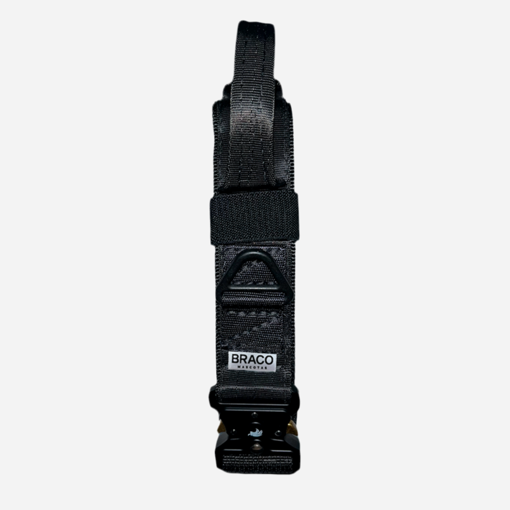 Collar Táctico de Identificación  para Perro Color Negro, C. Gladiador, Marca Braco