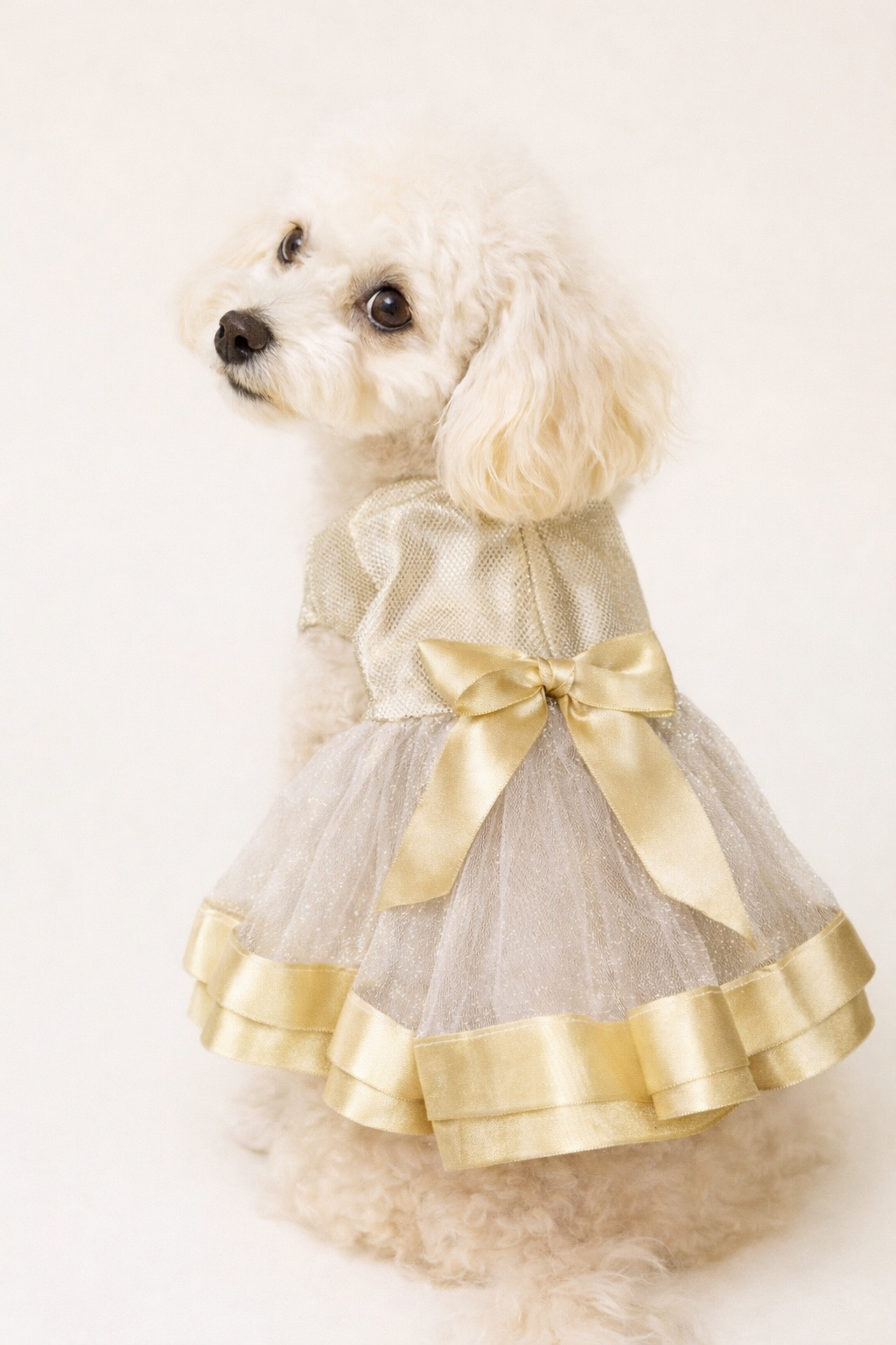 Vestido Dorado para Perro Marca Braco (M)