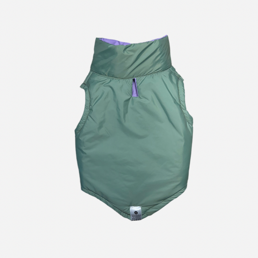 Chaleco para Perro Verde con Lila, Colección Braco Kids, Marca Braco