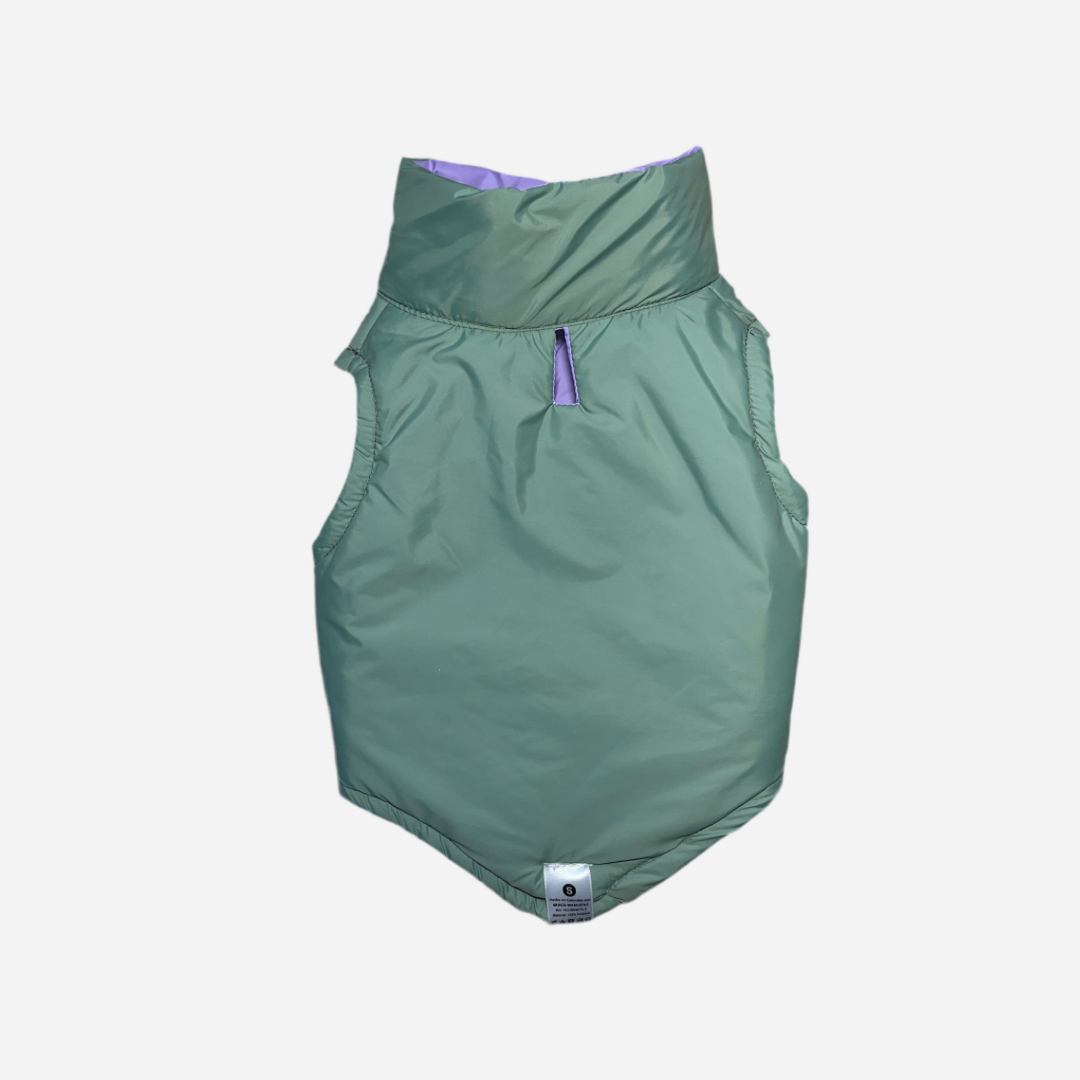 Chaleco para Perro Verde con Lila, Colección Braco Kids, Marca Braco