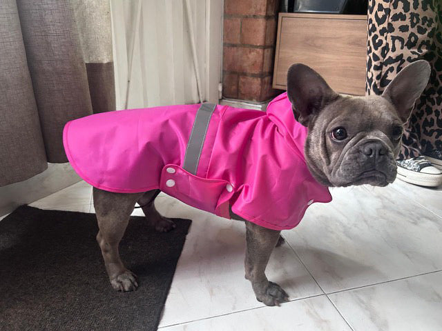 Capa impermeable para Perro Fuscia, capa para la lluvia Perro Marca Braco