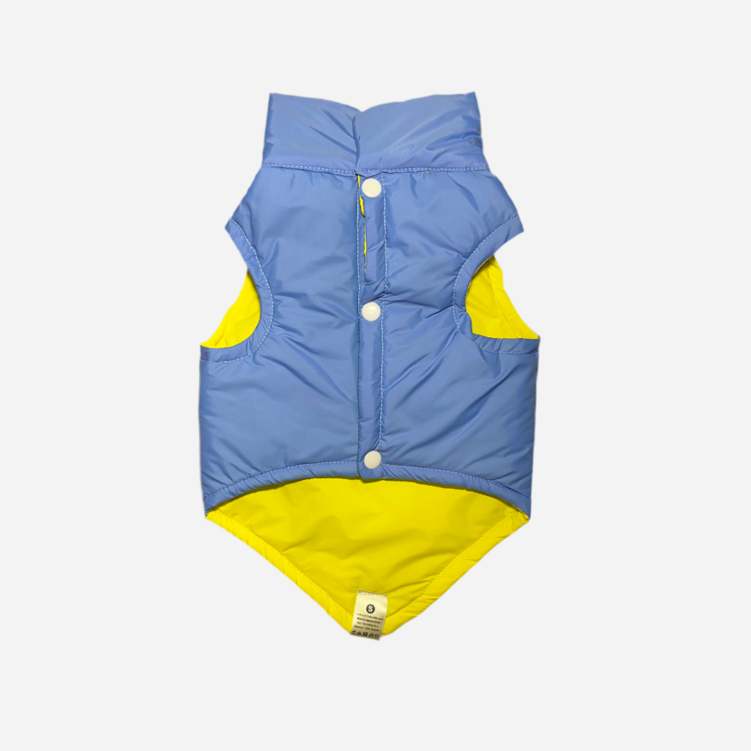 Chaleco para Perro Amarillo con Azul, Colección Braco Kids, Marca Braco