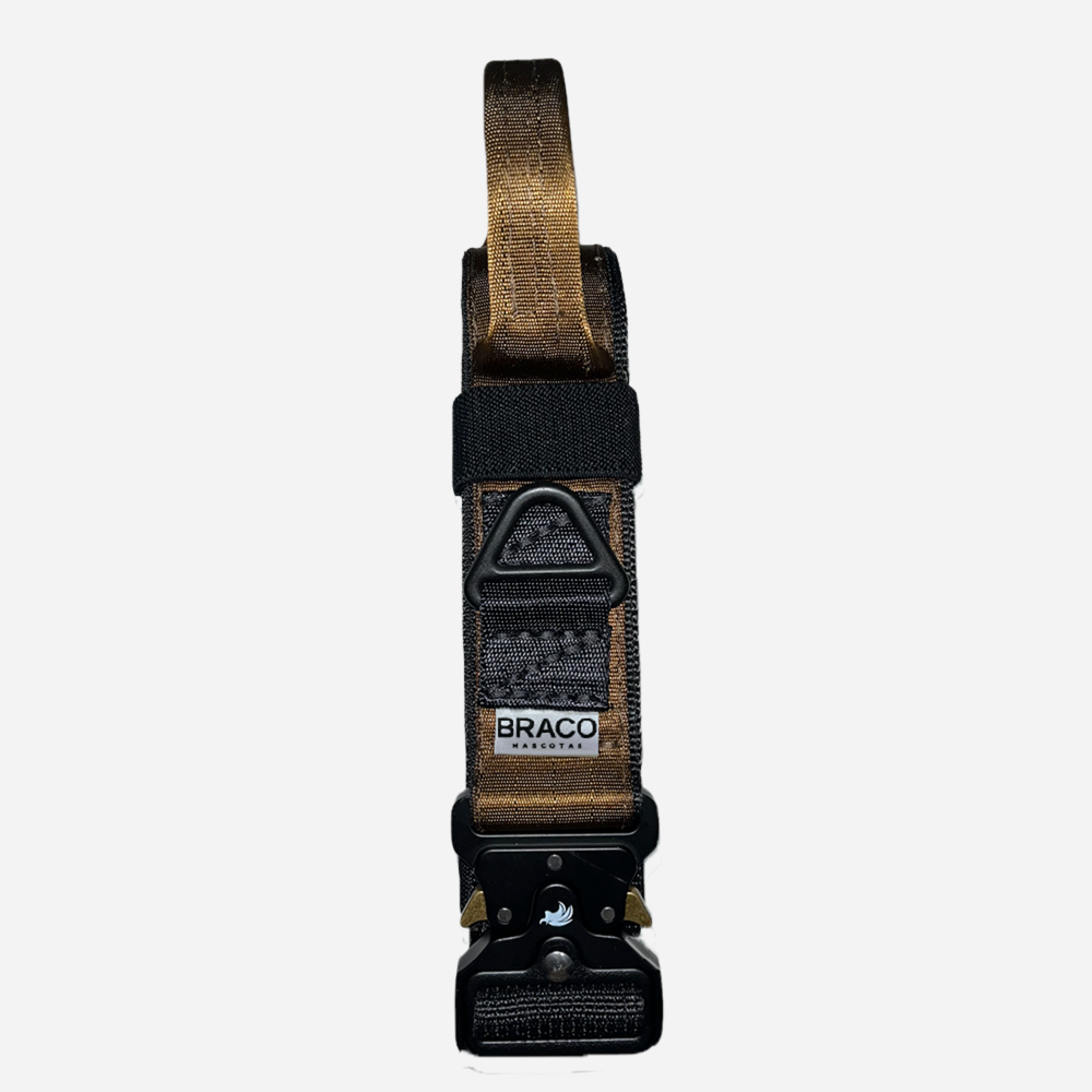 Collar Táctico de Identificación  para Perro Color Café, C. Gladiador, Marca Braco