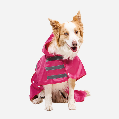 Capa impermeable para Perro Fuscia, capa para la lluvia Perro Marca Braco