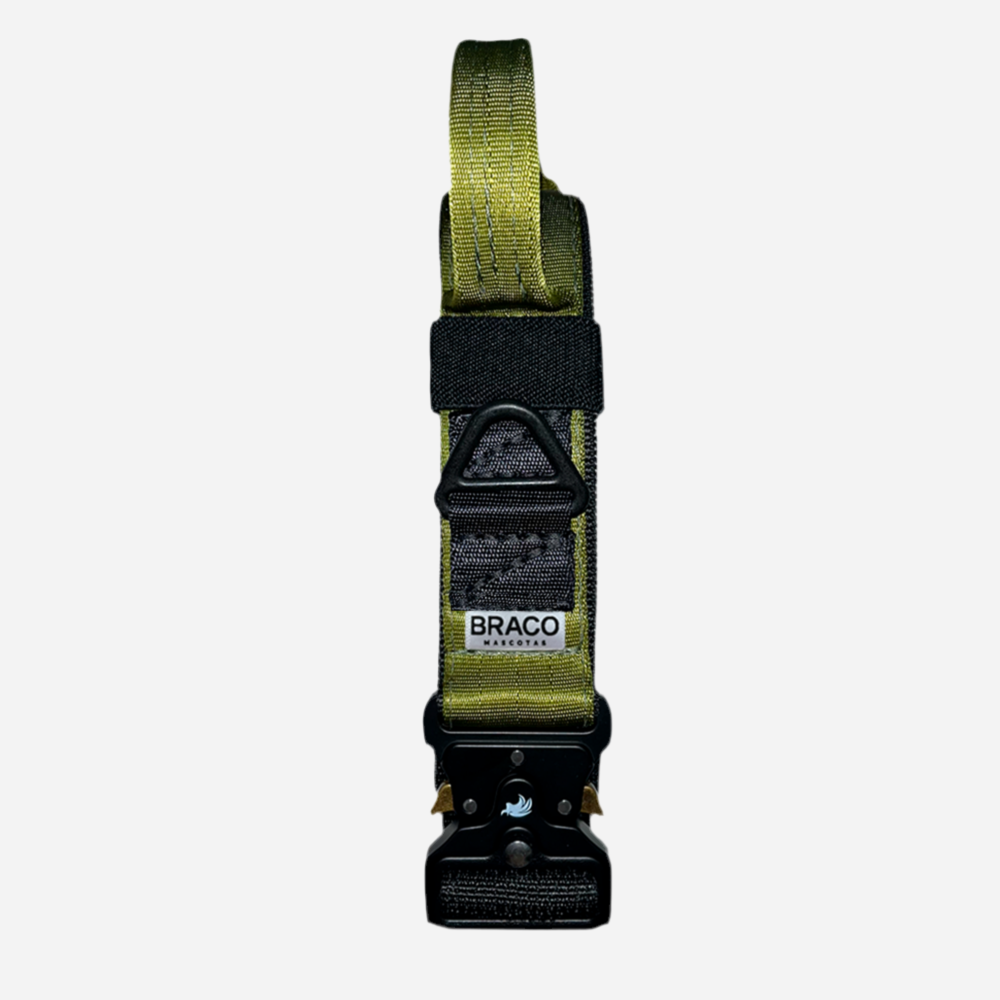Collar Táctico de Identificación  para Perro Color Verde Militar, C. Gladiador, Marca Braco