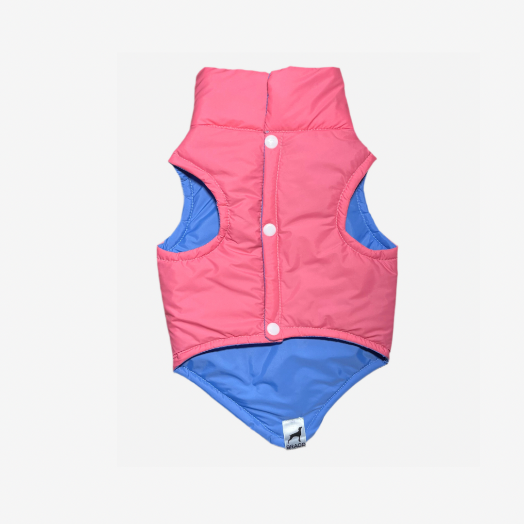 Chaleco para Perro                        Rosa con Azul Celeste, Colección Braco Kids, Marca Braco