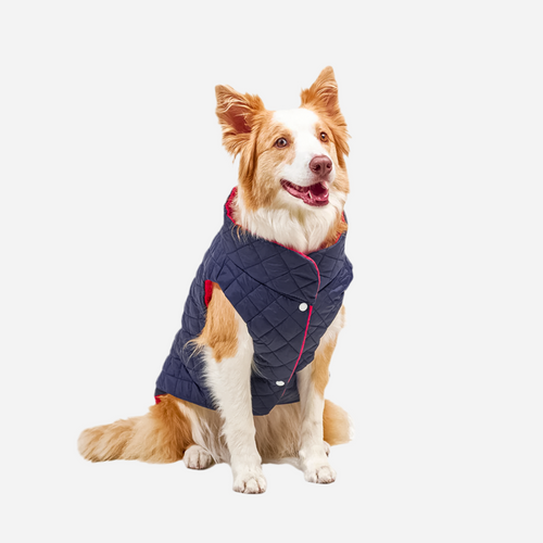 Chaleco para Perro Azul Marino con Rojo, Marca Braco