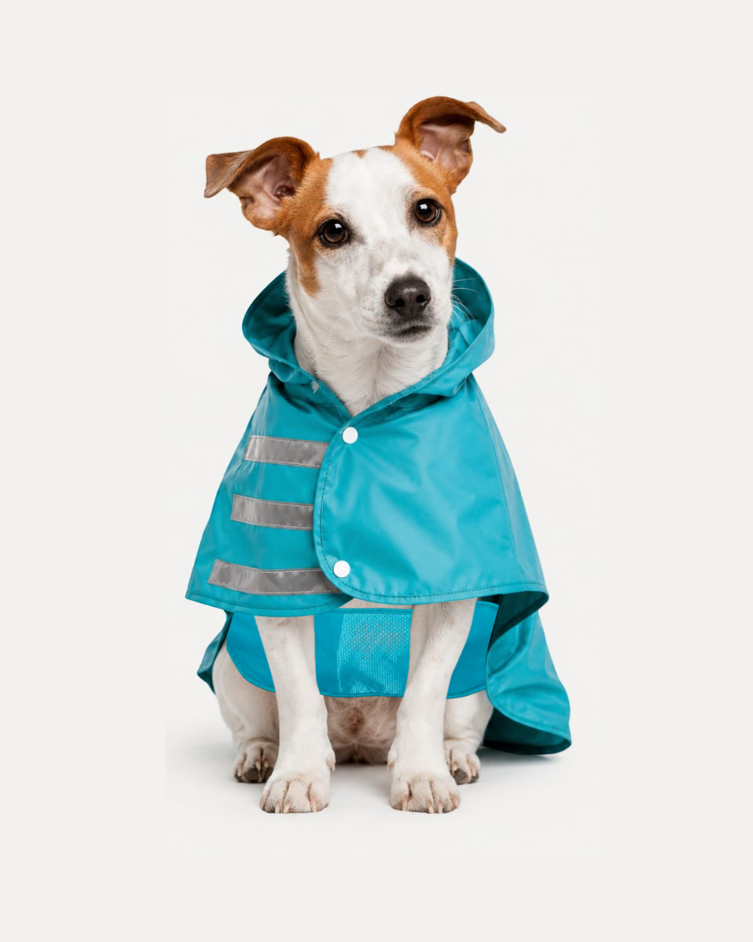Capa de Lluvia Impermeable para Perro Talla L Color Aguamarina