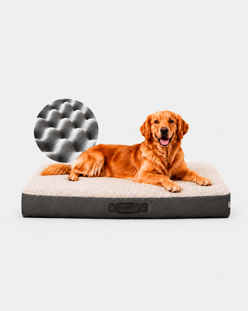 Cama Ortopédica para Perro Marca Braco (120 X 100 X 10 cm)