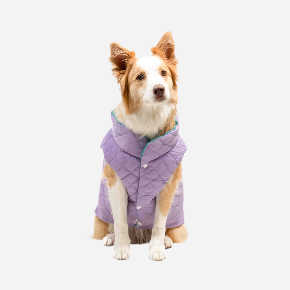 Chaleco Doble Faz para Perro, Aguamarina con Lila, Colección Horz, Marca Braco