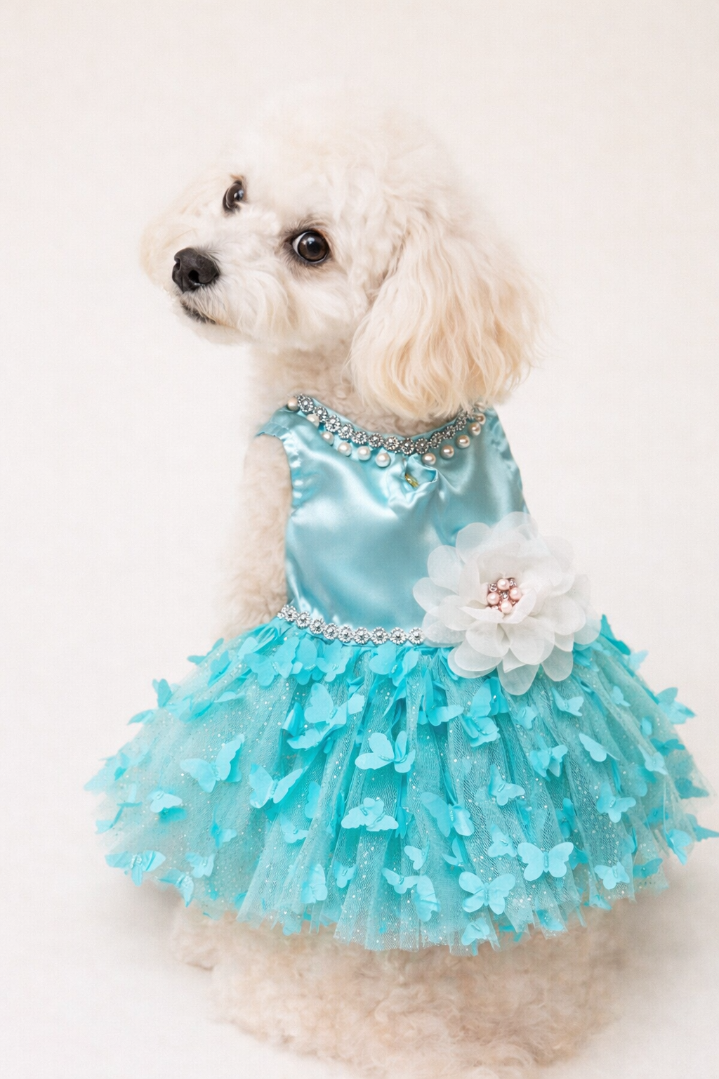 Vestido Verde Aguamarina para Perro Marca Braco (M)