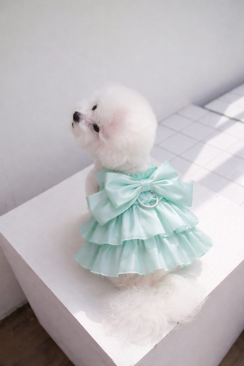 Vestido para Perro Verde Marca Braco (XS)