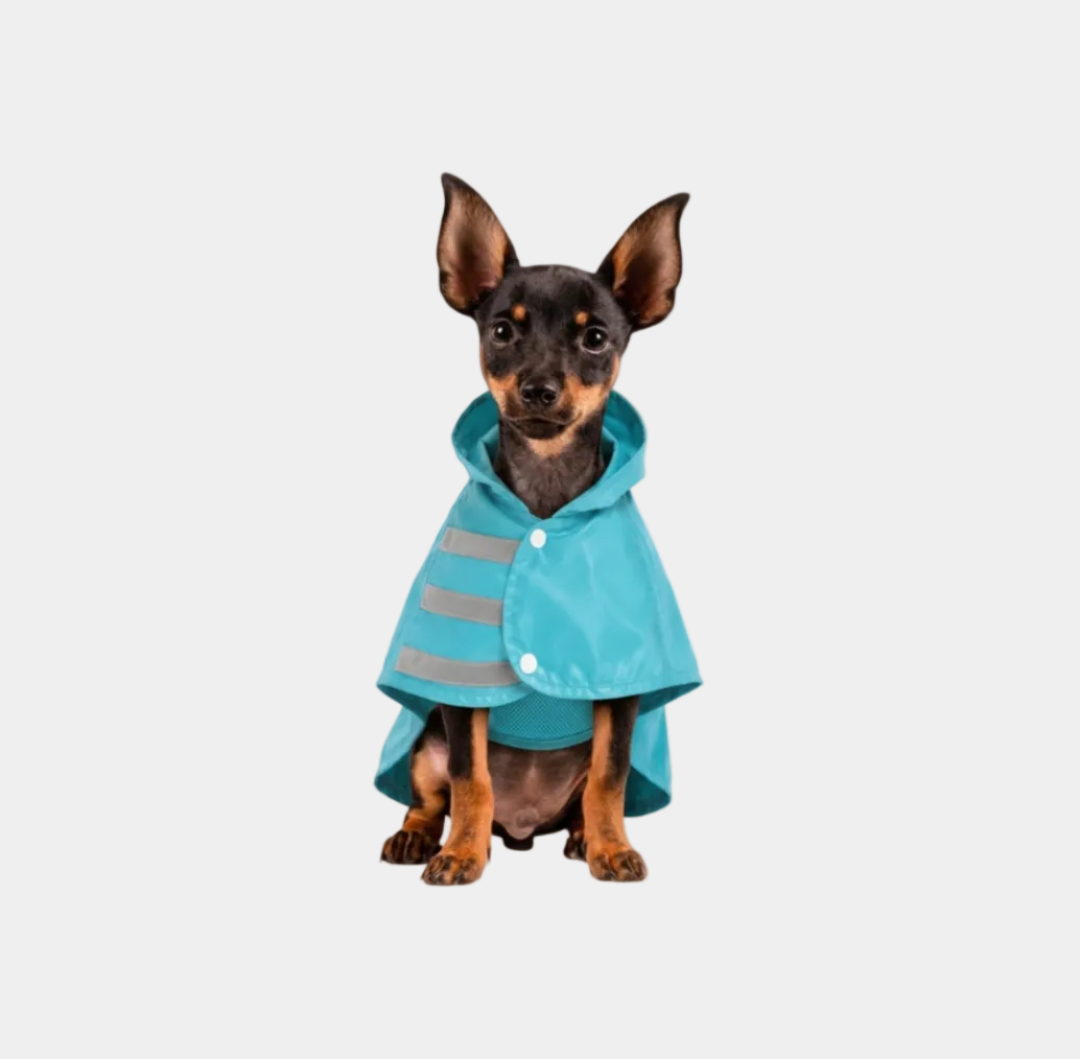 Capa de Lluvia Impermeable para Perro Talla S Color Aguamarina