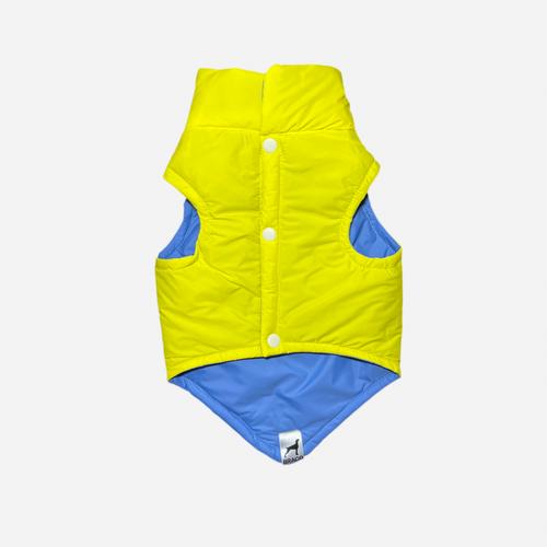 Chaleco para Perro Amarillo con Azul, Colección Braco Kids, Marca Braco