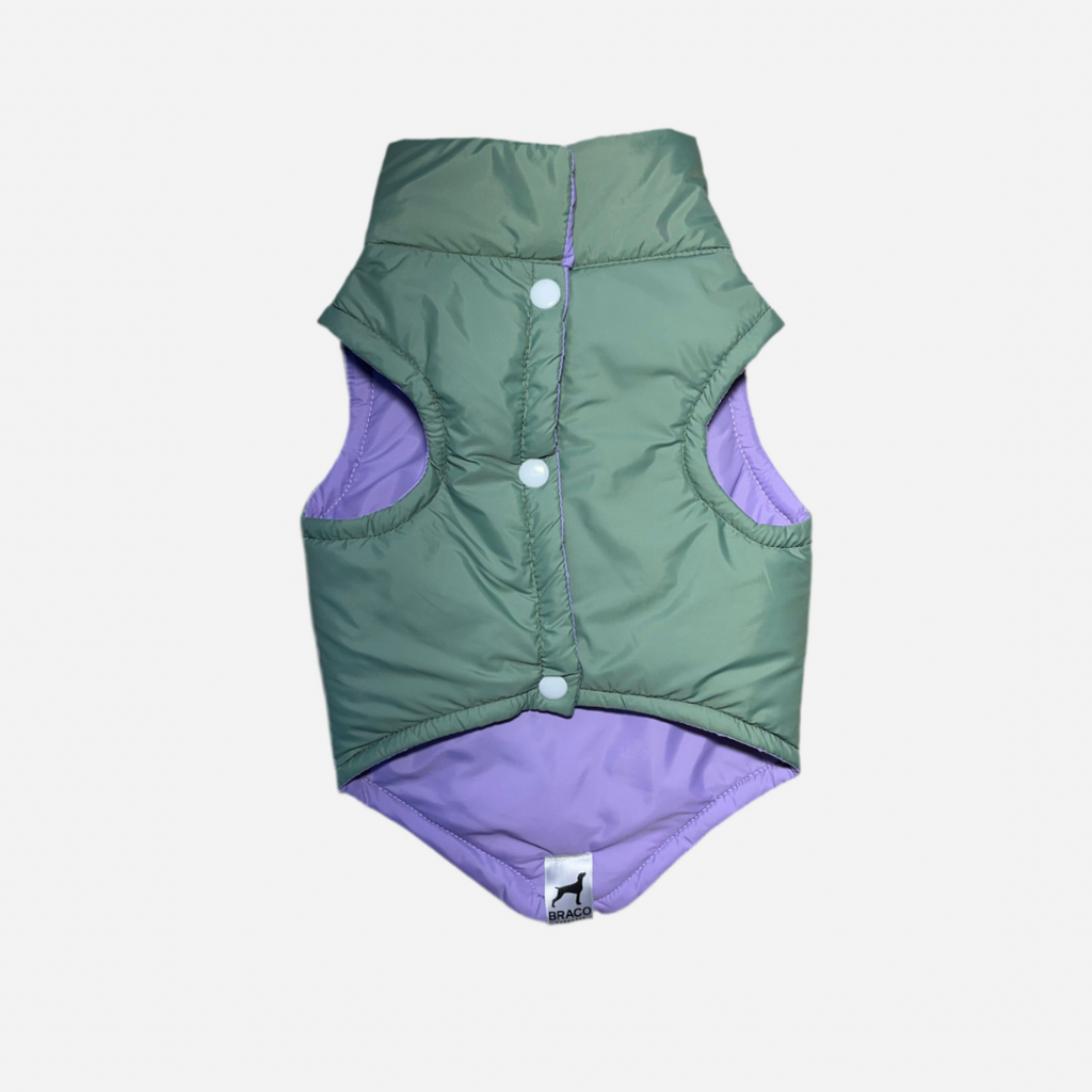 Chaleco para Perro Verde con Lila, Colección Braco Kids, Marca Braco