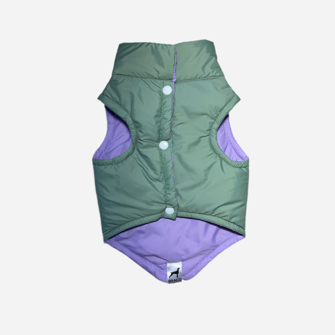 Chaleco para Perro Verde con Lila, Colección Braco Kids, Marca Braco