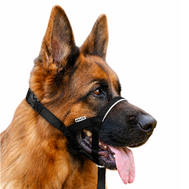 Collar Halti para Perro (L) Marca Braco