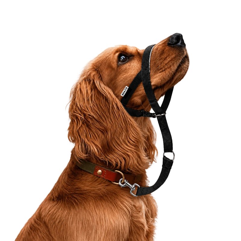 Collar Halti para Perro (M) Marca Braco