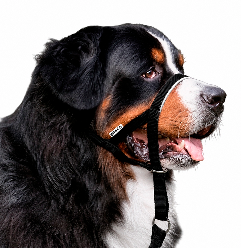 Collar Halti para Perro (XL) Marca Braco