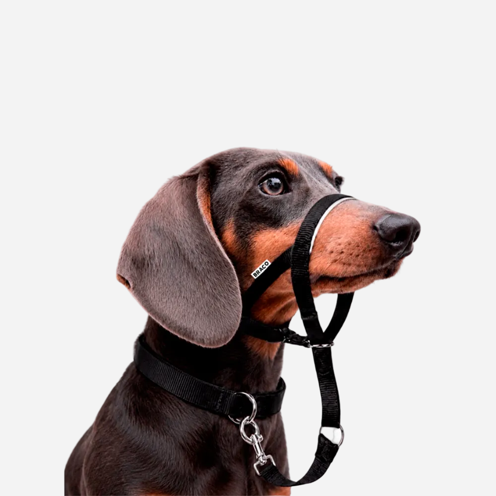 Collar Halti para Perro (S) Marca Braco