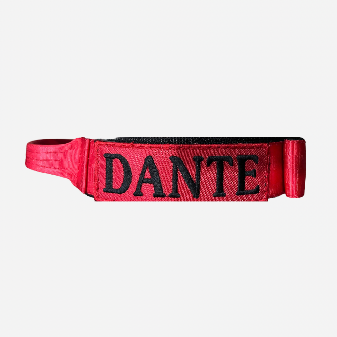Collar Táctico de Identificación  para Perro Color Rojo, C. Gladiador, Marca Braco