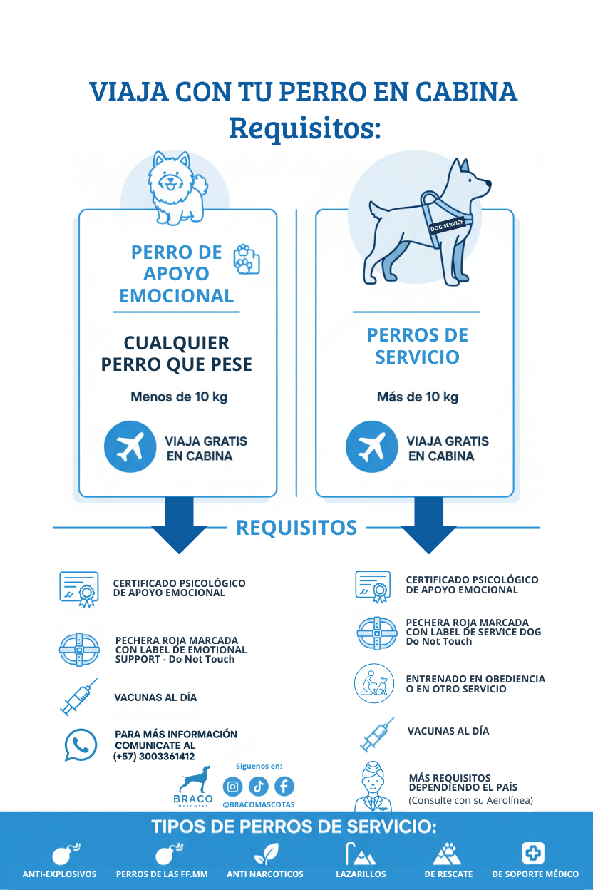 Certificado de Apoyo Emocional