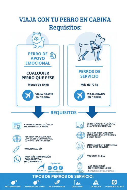 Certificado de Apoyo Emocional