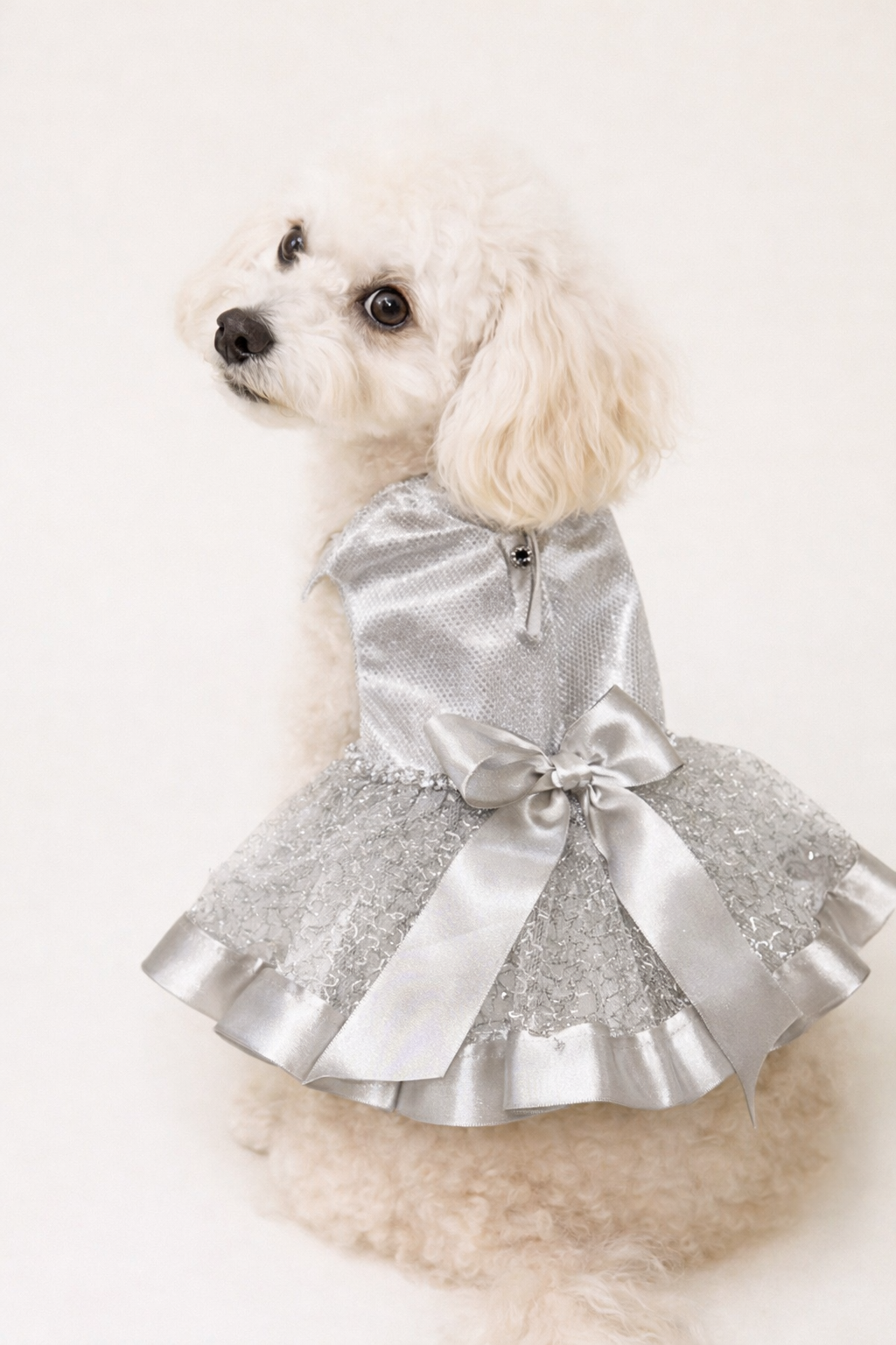Vestido Plata para Perro Marca Braco (XS)