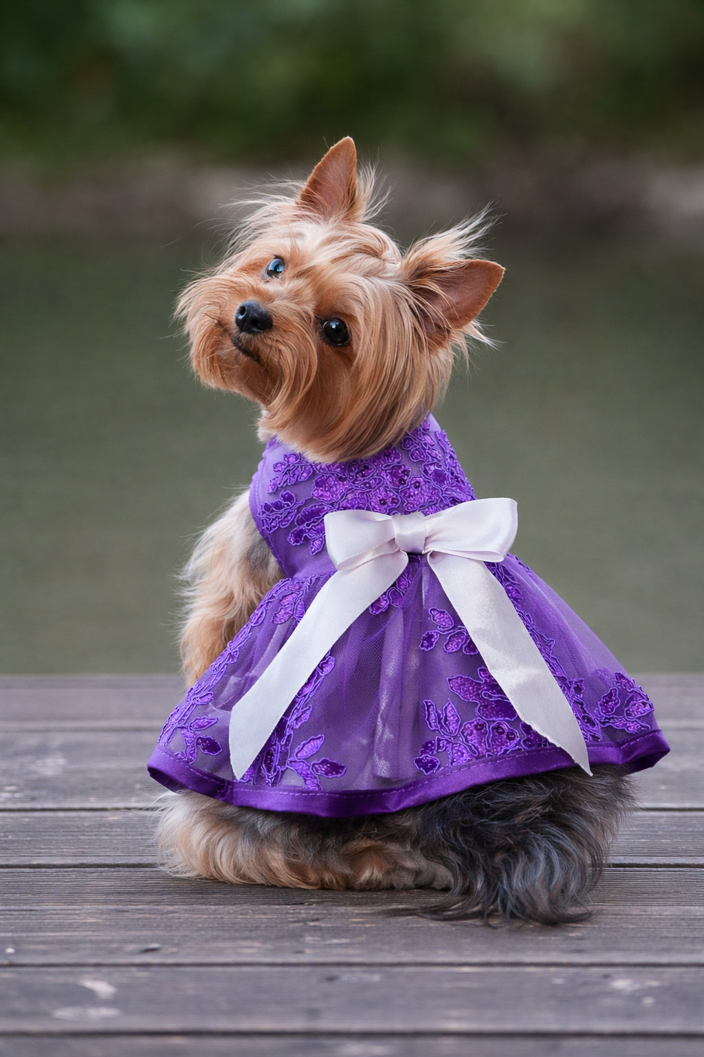 Vestido para Perro Morado Marca Braco (XS)