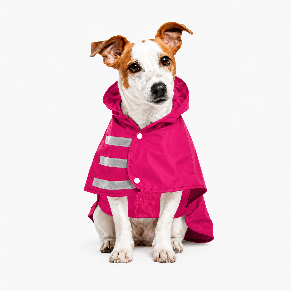 Capa de Lluvia Impermeable para Perro Talla L Color Fucsia